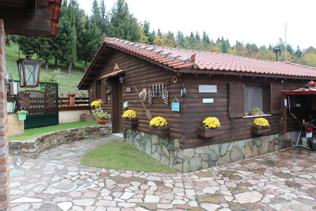 Traditional Guesthouse Tríkala Exteriér fotografie